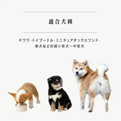 ワイヤーサークル PWC-628 マットブラウン 犬 サークル_13