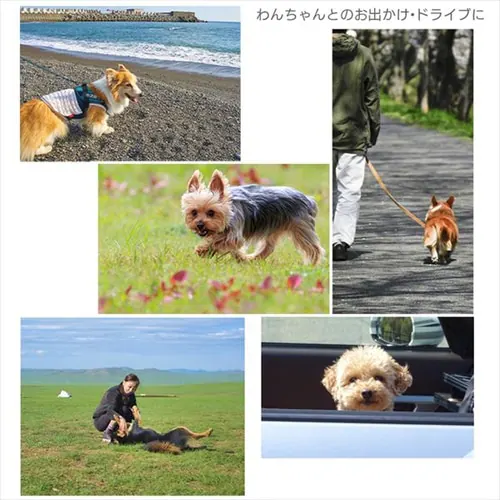 �܂肽���݃P�[�W ���C�g�i�`������ S_8