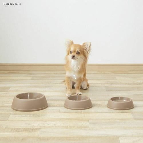 �y�b�g�f�B�b�V�� D-160 �S2�F_2