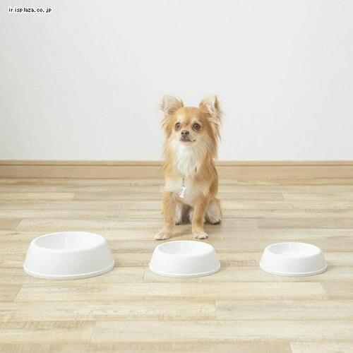 �y�b�g�f�B�b�V�� D-160 �S2�F_3