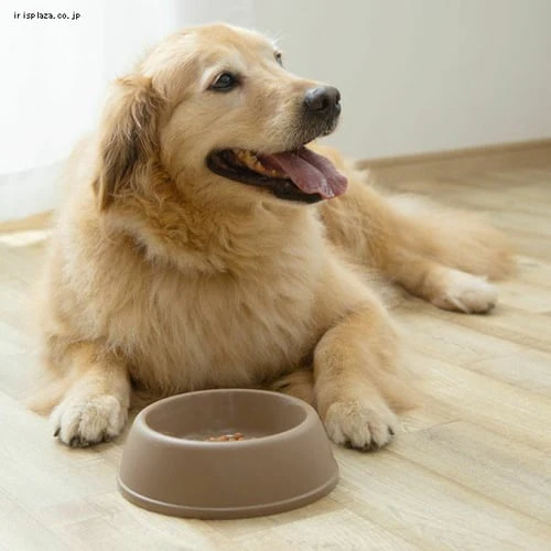 ペットディッシュ D-200 マットホワイト_2