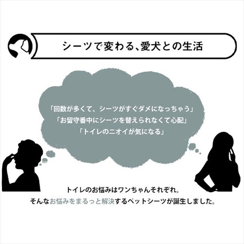 �y464���z �����^ ���z���y�b�g�V�[�c ���M�����[ 116���~4��_3