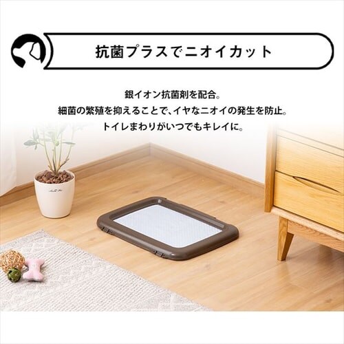 �y464���z �����^ ���z���y�b�g�V�[�c ���M�����[ 116���~4��_12