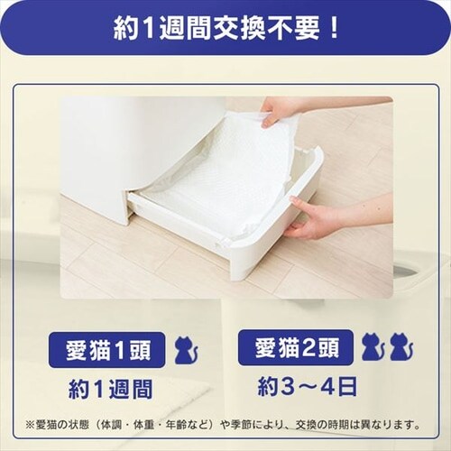 �y20���z ���L�V�[�g �������̂ɂ����N���A���L �L�p�V�X�e���g�C�� ONCS-20_3