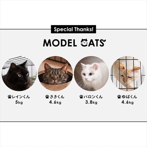 隠れ家キャットランドケージ スリム 3段 PKC-600 マットブラウン