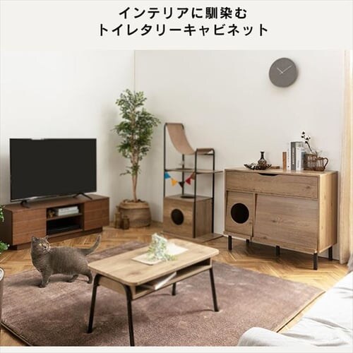 �y���[�t���z �L���b�g�g�C���^���[�L���r�l�b�g CTC-890S �A�b�V���u���E��/�u���b�N_4