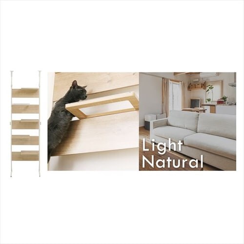 �L���b�g�X�e�b�v CATS-68 �S2�F_6