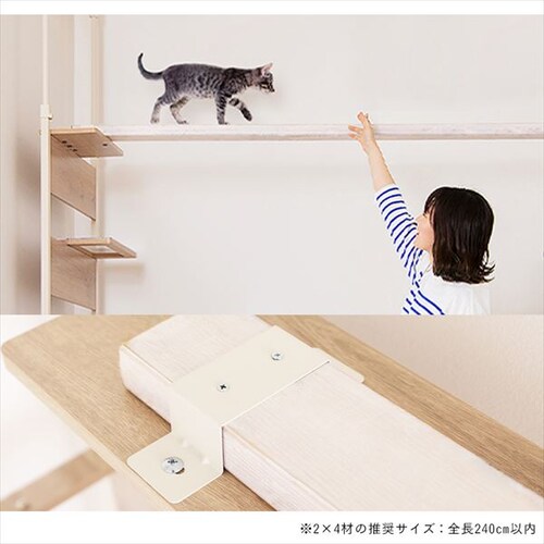 �L���b�g�X�e�b�v CATS-68 �S2�F_12