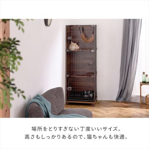 �t�@�j�`���[�X�^�C���P�[�W 2�i PFSC-602 �L�p �������_7