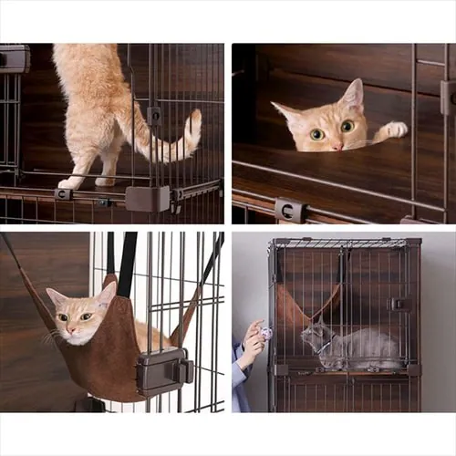 �t�@�j�`���[�X�^�C���P�[�W 3�i PFSC-603  �L�p �������_5