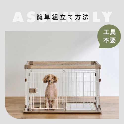 �E�b�f�B�V�X�e���T�[�N�� SWS-900 �A�b�V���O���[_9