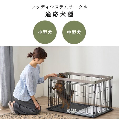 �E�b�f�B�V�X�e���T�[�N�� SWS-900 �A�b�V���O���[_13