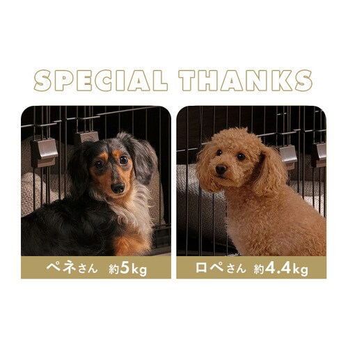 �E�b�f�B�V�X�e���T�[�N�� SWS-900 �A�b�V���O���[_14