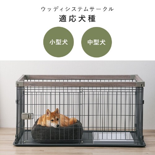 ウッディシステムサークル SWS-1200 アッシュグレー P298891