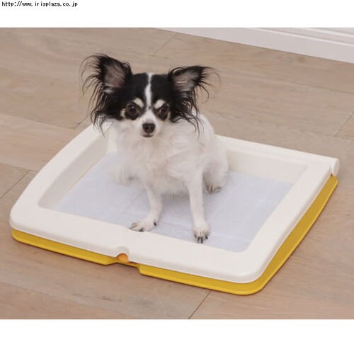 ���^�b�`���g�C���@ON-330R�EON-590W�@�u���[�E�C�G���[�E�u���E��_2