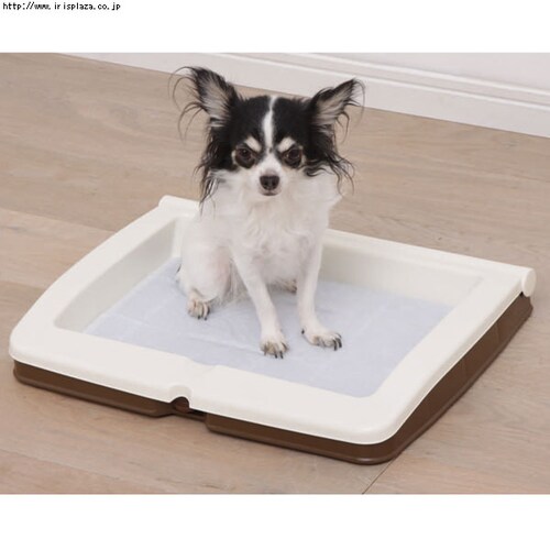 ���^�b�`���g�C���@ON-330R�EON-590W�@�u���[�E�C�G���[�E�u���E��_3