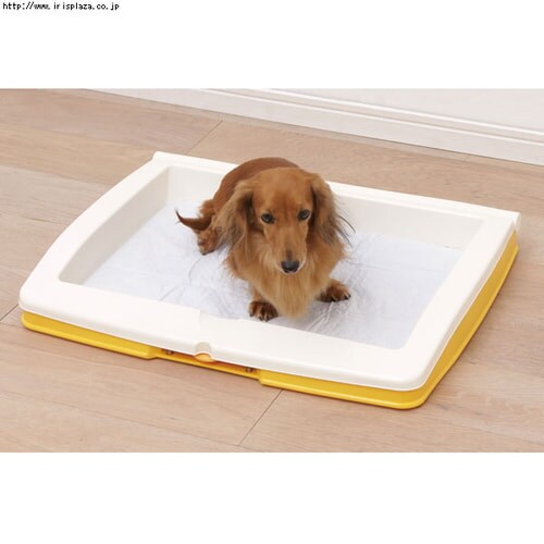 ���^�b�`���g�C���@ON-330R�EON-590W�@�u���[�E�C�G���[�E�u���E��_5