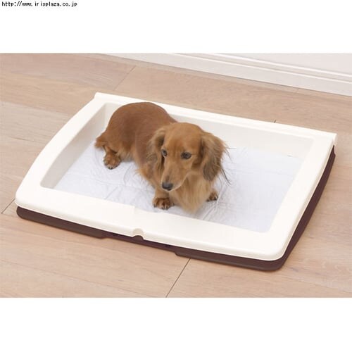 ���^�b�`���g�C���@ON-330R�EON-590W�@�u���[�E�C�G���[�E�u���E��_6