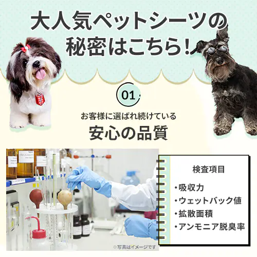 \最安値に挑戦中!/【800枚】 薄型 ペットシーツ レギュラー 200枚×4袋 犬 シーツ トイレ_2