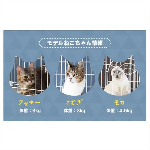 ペットケージ 2段 PEC-902 ネット限定ホワイト キャスター付き 猫 ケージ_11