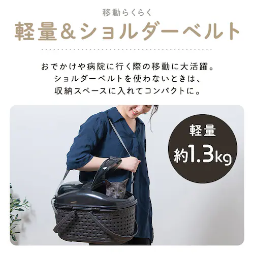 ���b�V���y�b�g�L�����[ MPC-450 ���C�g�O���[_8