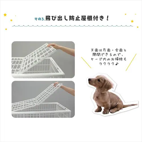 �v���P�[�W 1�i �x�[�W�� ���^���p_4