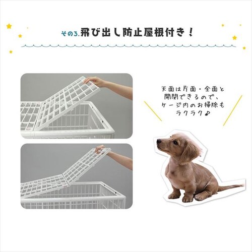 �v���P�[�W 1�i �x�[�W�� ���^�`���^���p_4