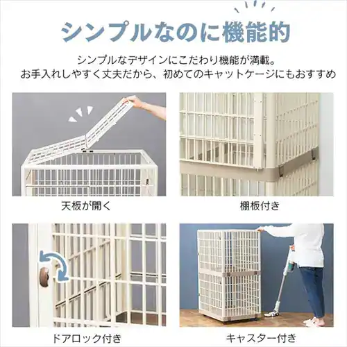 �v���P�[�W �Q�i �x�[�W�� �L�p _3