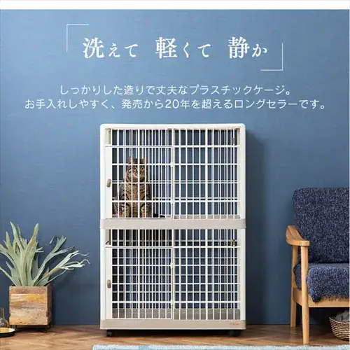 �v���P�[�W �Q�i �x�[�W�� �L�p _4