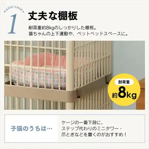 �v���P�[�W �Q�i �x�[�W�� �L�p _5