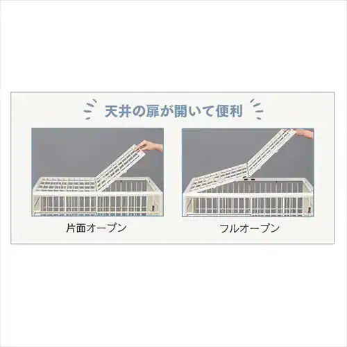 �v���P�[�W �Q�i �x�[�W�� �L�p _7