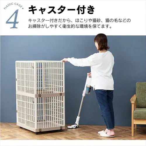 �v���P�[�W �Q�i �x�[�W�� �L�p _9