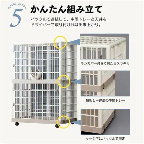 �v���P�[�W �Q�i �x�[�W�� �L�p _10