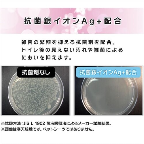 �y���^�z����t���E���g���V�[�c �\�[�v�t���[�����̍���_4