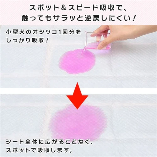 �y���^�z����t���E���g���V�[�c �\�[�v�t���[�����̍���_7