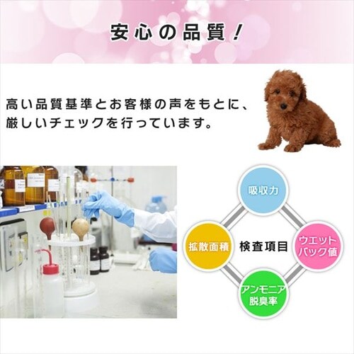 �y���^�z����t���E���g���V�[�c �\�[�v�t���[�����̍���_11