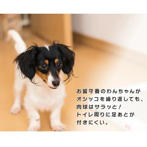 200枚】 厚型 さらさらメッシュシーツ ワイド 50枚×4袋 犬 トイレ