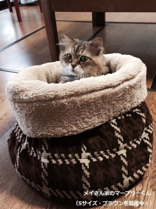 �L���b�g�|�P�b�g S�T�C�Y P-CPG370 �s���N_9