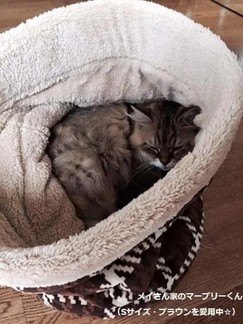 �L���b�g�|�P�b�g S�T�C�Y P-CPG370 �s���N_11