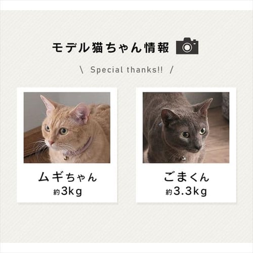 猫のつめとぎ ワイドタイプ P-NTW-290R ブラウン P103457 │アイリス