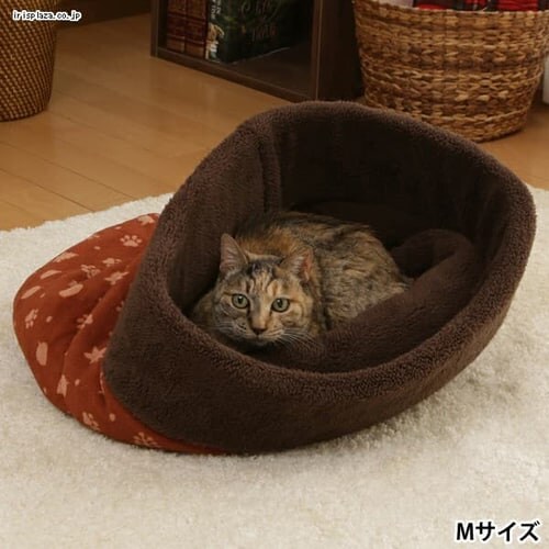 ���������L���b�g�|�P�b�g S�T�C�Y PCPH370 �u���E��_3