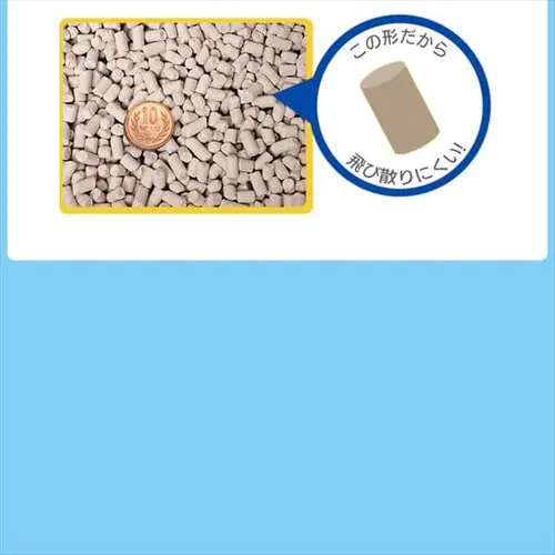 �V�X�e���L�g�C���p �ɂ���Ȃ����L�T���h �N�G���_���� 6L TIA-6C/�V�X�e���g�C���p �ɂ���Ȃ����L�T���h ����t�� 6L TIA-6CK_9