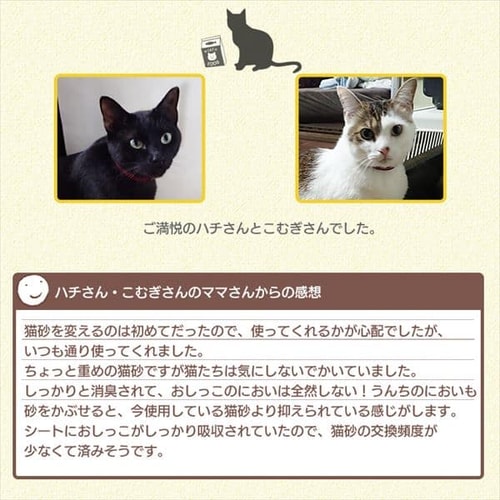 2袋セット】 システム猫トイレ用 におわない消臭サンド クエン酸入り