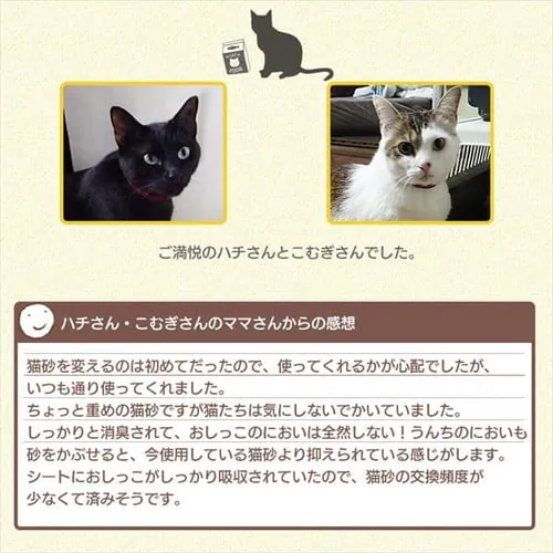 �V�X�e���L�g�C���p �ɂ���Ȃ����L�T���h �N�G���_���� 6L TIA-6C/�V�X�e���g�C���p �ɂ���Ȃ����L�T���h ����t�� 6L TIA-6CK_14