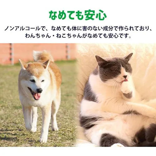 �y1440���z �E�F�b�g�e�B�b�V�� 80���~18�� PWT-1P_3