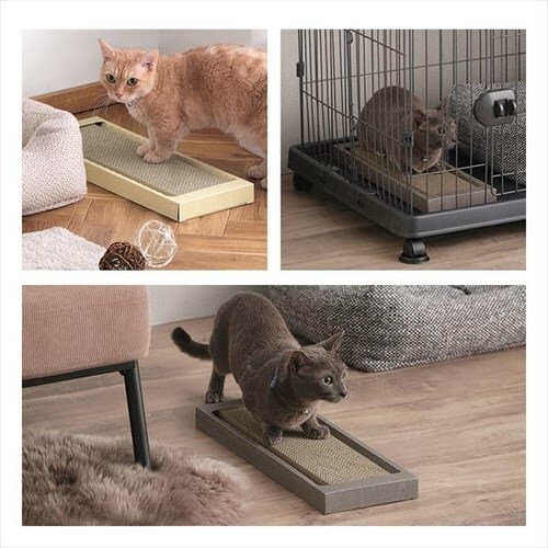 �L�̂߂Ƃ� �X�����^�C�v NTST-1P �i�`������_5