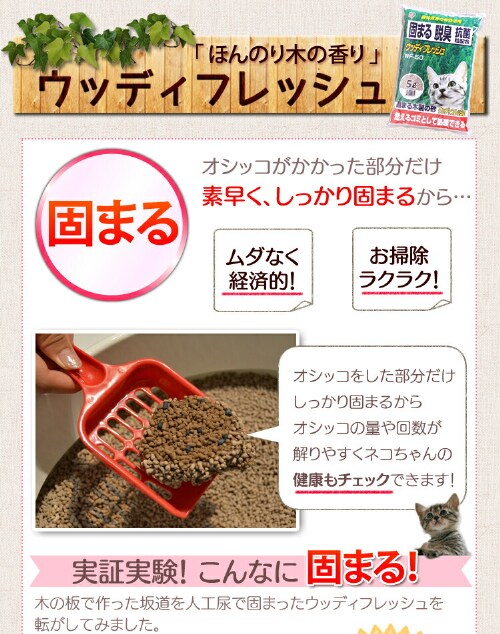 �L�� �E�b�f�B�t���b�V�� 10L WF-100�z�� �L��_2