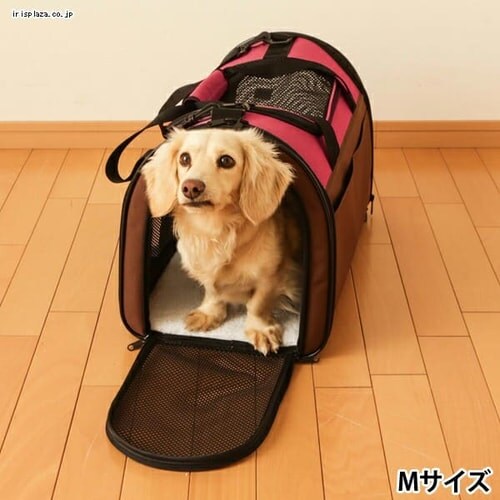 ペットキャリー　アイリスオーヤマ　折り畳み式 折りたたみソフトキャリー Mサイズ POTC-500A ブラウン 犬 猫 キャリー