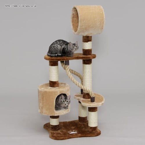 �L���b�g�����h�@CLF-6�@�u���E��_2