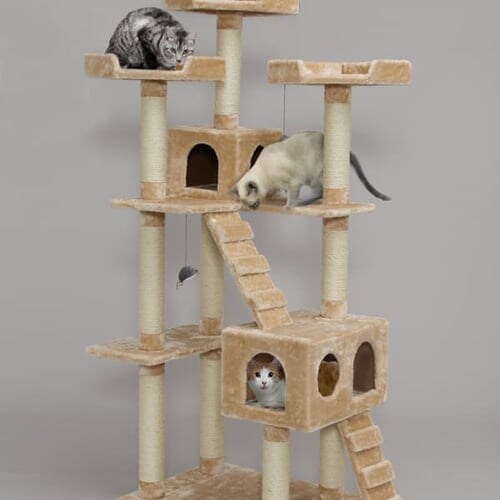 �L���b�g�����h�@CLF-8�@�u���E��_2